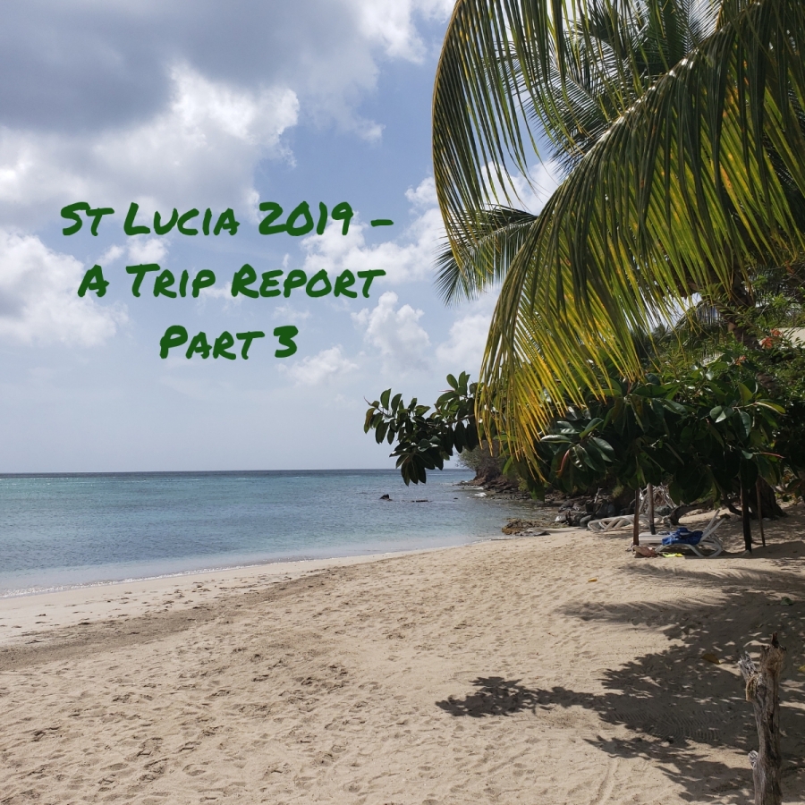 St. Lucia – A Trip Report Part 3